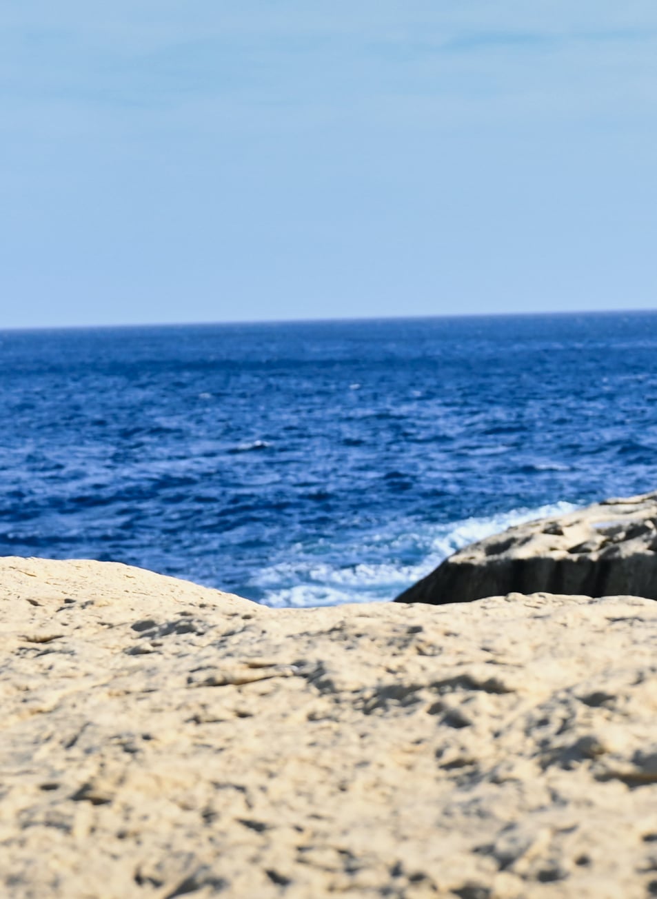 Why invest your benefits with us? - Because you deserve liberation infrastructure—not piecemeal self-care. Align your finances, body, mind, and spirit inside a constitutional sanctuary that funds itself.